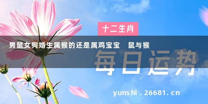 男鼠女狗婚生属猴的还是属鸡宝宝 鼠与猴